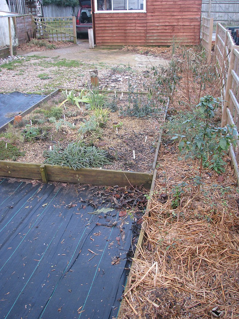 800px-Mulch_-_Flickr_-_peganum